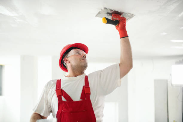 Best Interior Painting  in Sault Ste Marie, MI